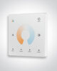 Control Panel, CCT, 1 zone (remote)