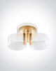 Ceiling light LED 21W, 3000K