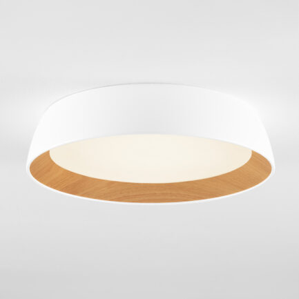 Потолочный светильник LED 39W