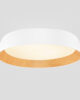 Laevalgusti LED 50W