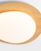 Ceiling light LED 29W
