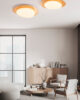 Ceiling light LED 29W