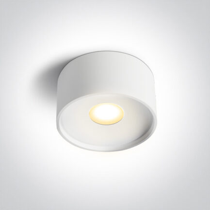 Laevalgusti LED 12W